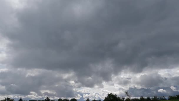 Himmel Mit Dunklen Gewitterwolken Über Den Bäumen Beim Schwenken — Stockvideo