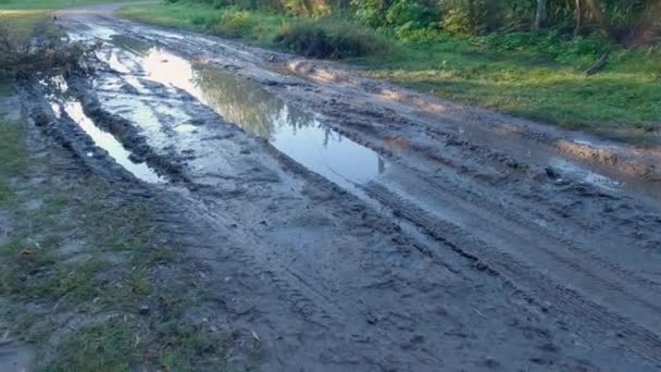 草地に雨が降った後の未舗装の道路での水たまり — ストック動画