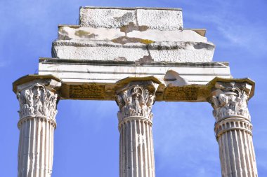 Trajan İmparatorluğu Forumlarının girişindeki İyonik başkentlerin dekoratif detayları antik Roma 'nın siyasi faaliyetlerinin merkezi olarak kabul edilir.