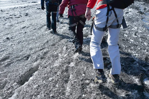 Row People Trekking Wearing Crampons Black Glacier Because Covered Volcano — Stock fotografie