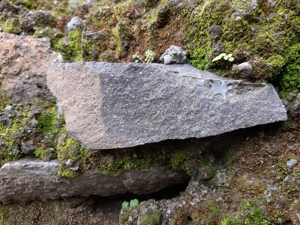 Textura Parede Pedra Antiga Musgosa Fundo Parede Pedra Antigo Fundo — Fotografia de Stock