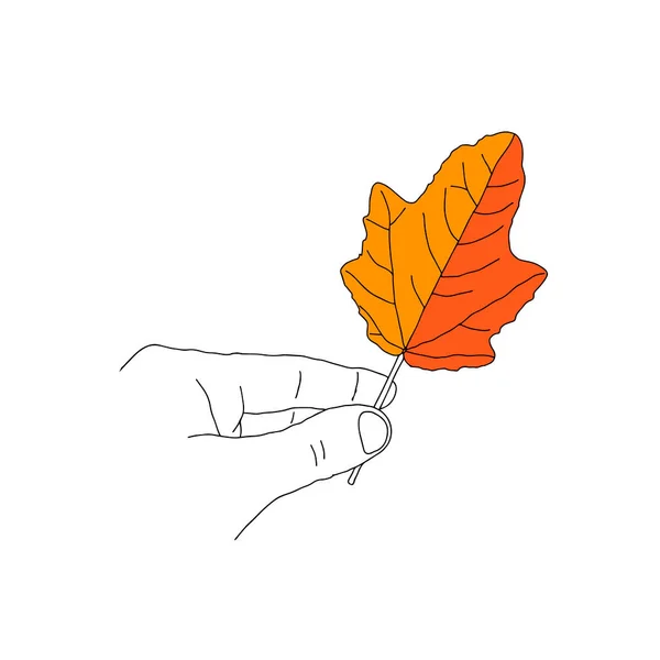 Una Ilustración Hoja Arce Naranja Una Mano Aislada Sobre Fondo — Vector de stock