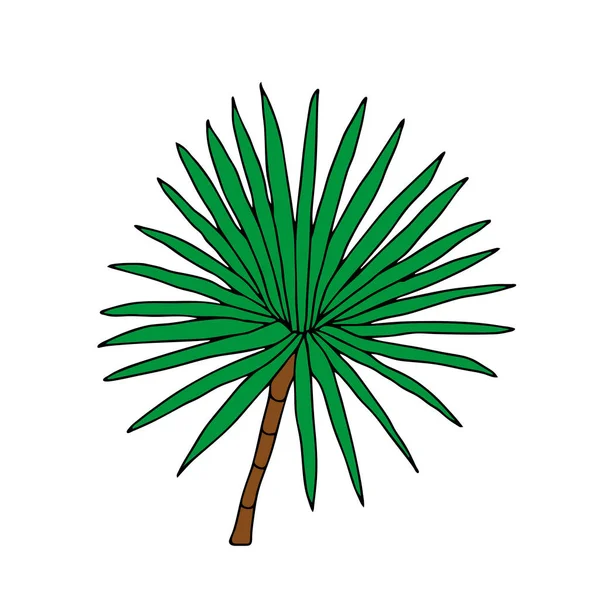 Vector Illustratie Van Een Groene Dracaena Plant Geïsoleerd Een Witte — Stockvector