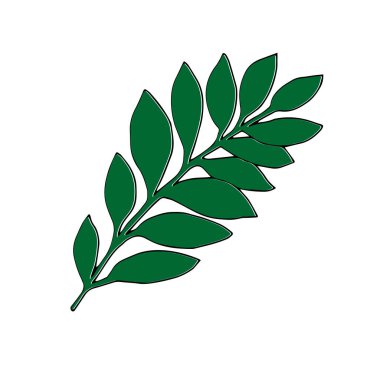 Beyaz arka planda izole edilmiş yeşil bir tropik palmiye yaprağının Vektör İllüstrasyonu