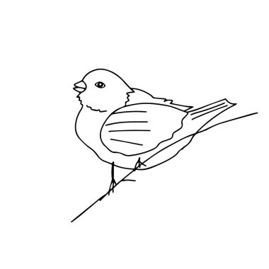 Bir serçe kuşunun el çizimi bir siyah vektör çizimi beyaz bir arkaplanda bir dalda oturuyor.