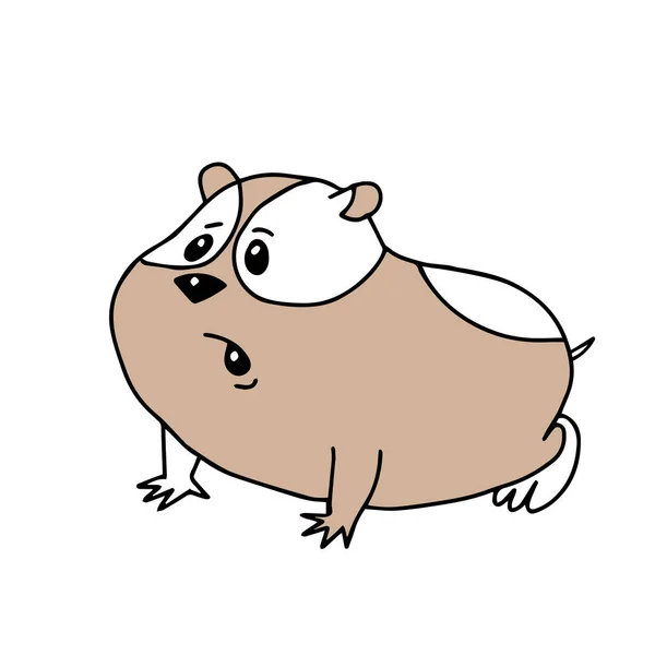 Une Illustration Vectorielle Beige Dessinée Main Portrait Jeune Hamster Adulte — Image vectorielle
