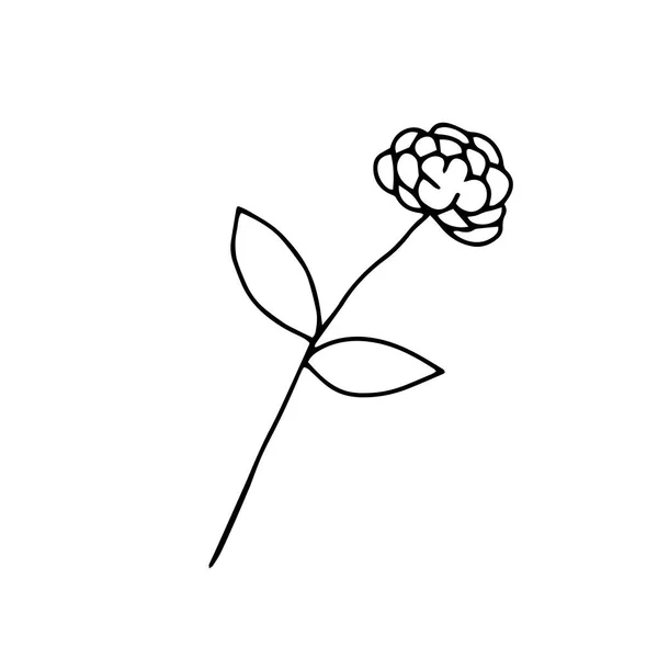 Illustration Vectorielle Noire Une Fleur Rose Avec Des Feuilles Isolées — Image vectorielle