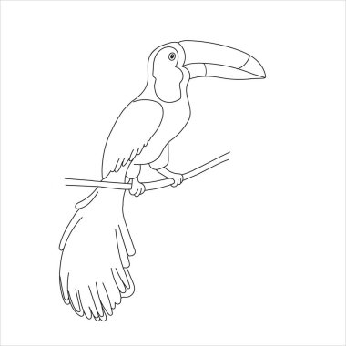 Bir Tukan kuşunun el çizimi bir siyah vektör çizimi beyaz arka planda bir dalda oturuyor.