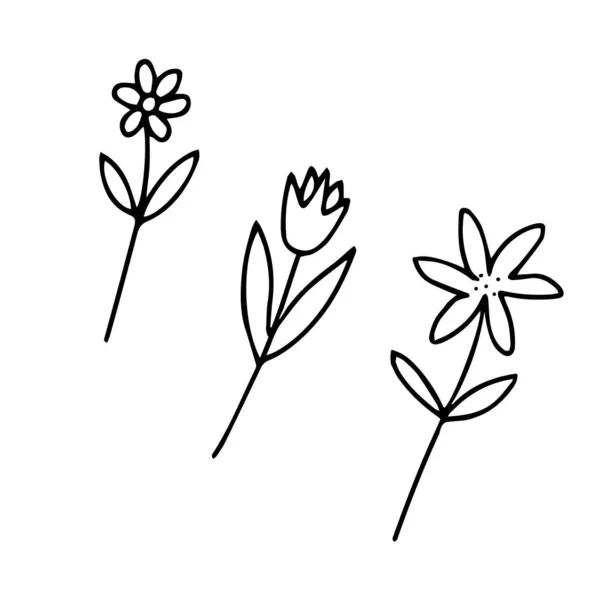 Fekete Vektor Illusztráció Egy Csoport Három Különböző Virágok Levelek Elszigetelt — Stock Vector