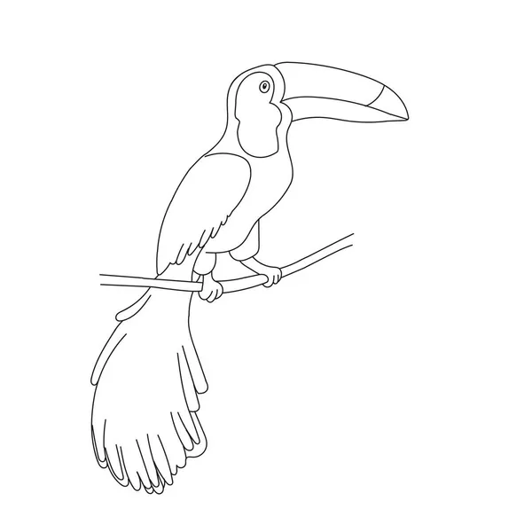 Handritad Svart Vektor Illustration Toucan Fågel Sitter Gren Vit Bakgrund — Stock vektor