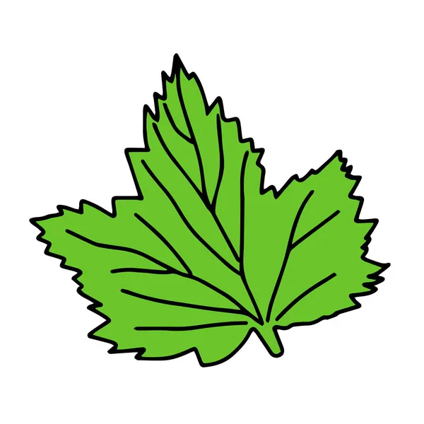 Illustration Vectorielle Une Feuille Groseille Verte Isolée Sur Fond Blanc — Image vectorielle