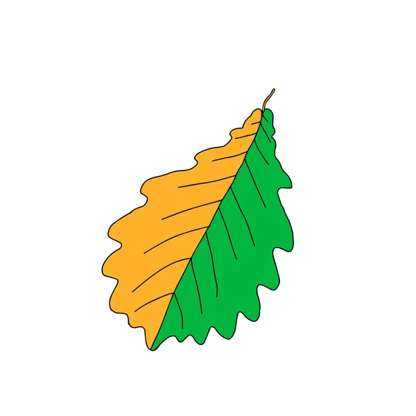 Eine Illustration Eines Grünen Und Orangen Eichenblattes Isoliert Auf Weißem — Stockvektor