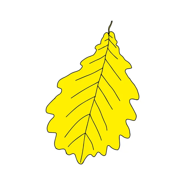 Ilustracja Żółtego Liścia Dębu Izolowanego Białym Tle — Wektor stockowy