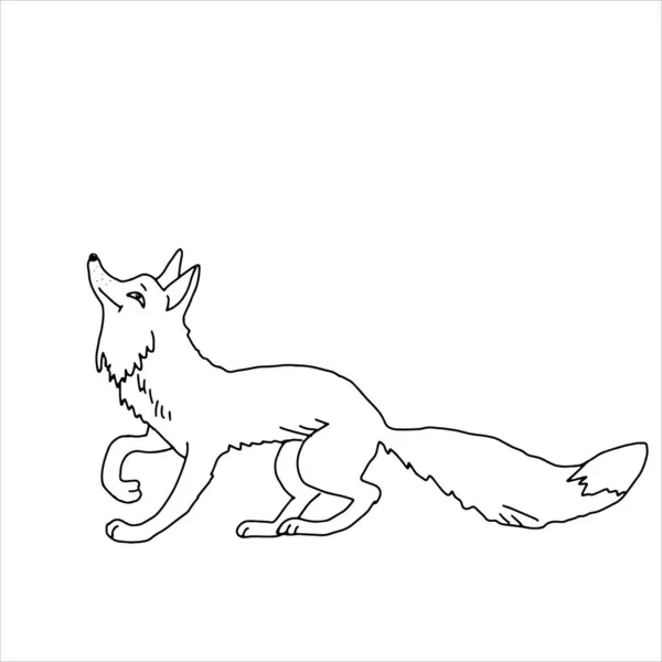 Hand Drawn Black Vector Illustration Beautiful Adult Young Funny Fox — Stock Vector