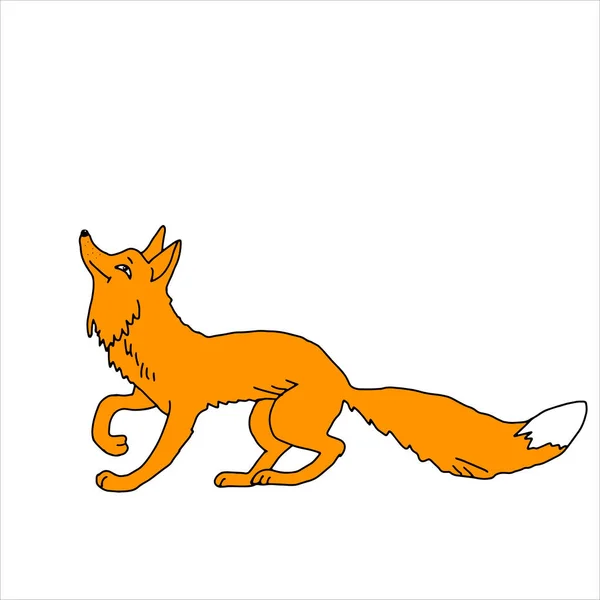 Une Illustration Vectorielle Orange Dessinée Main Beau Jeune Renard Drôle — Image vectorielle