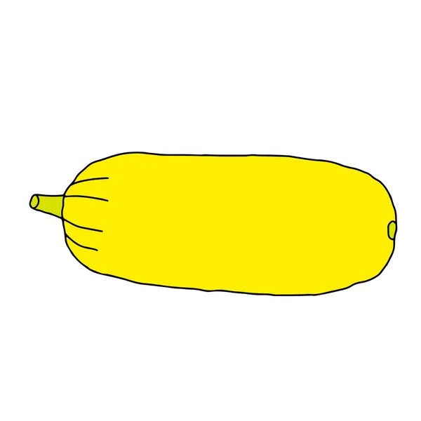 Illustration Vectorielle Une Courgette Jaune Fraîche Isolée Sur Fond Blanc — Image vectorielle