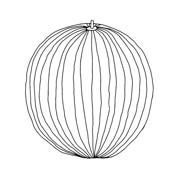 Векторна контурна ілюстрація однієї сфери свіжого кавуна з ізольованим на білому тлі — стоковий вектор