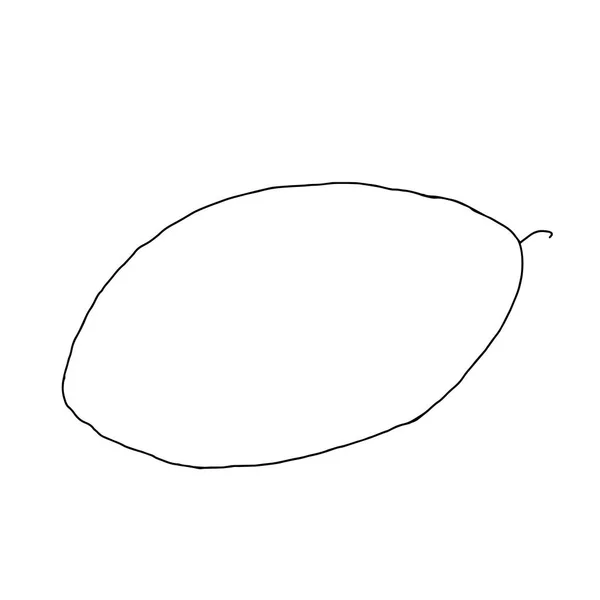 Vektor kontur illustration av en färsk melon isolerad på en vit bakgrund — Stock vektor