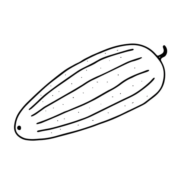 白地に隔離された新鮮なキュウリのベクトルアウトライン図 — ストックベクタ