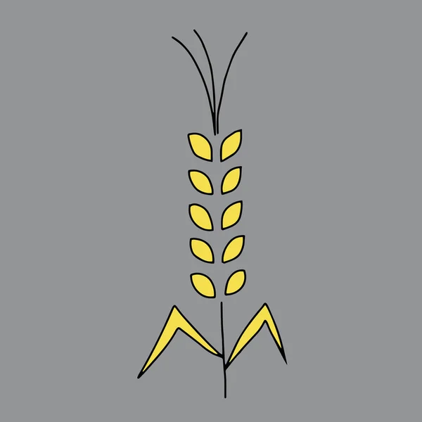 Vector Illustration Yellow Spikelet Wheat Plant Icon Isolated Gray Background — Stock Vector