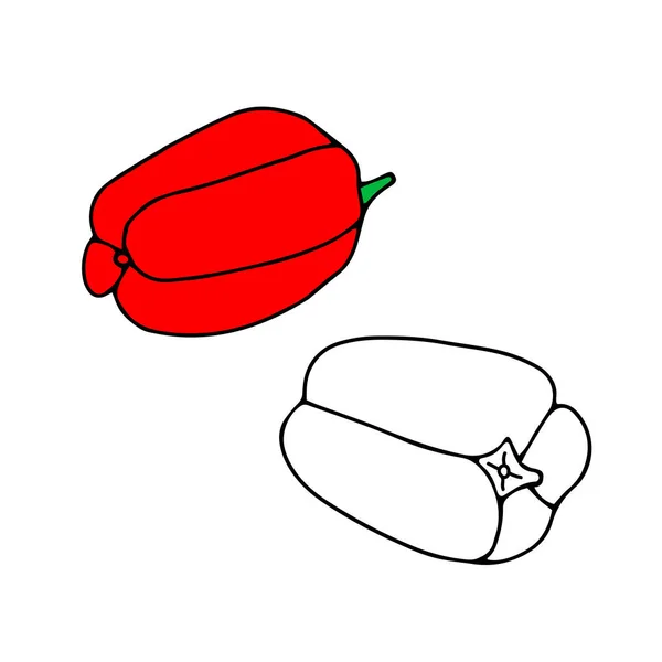 Illustration Vectorielle Beau Poivron Rouge Blanc Isolé Sur Fond Blanc — Image vectorielle