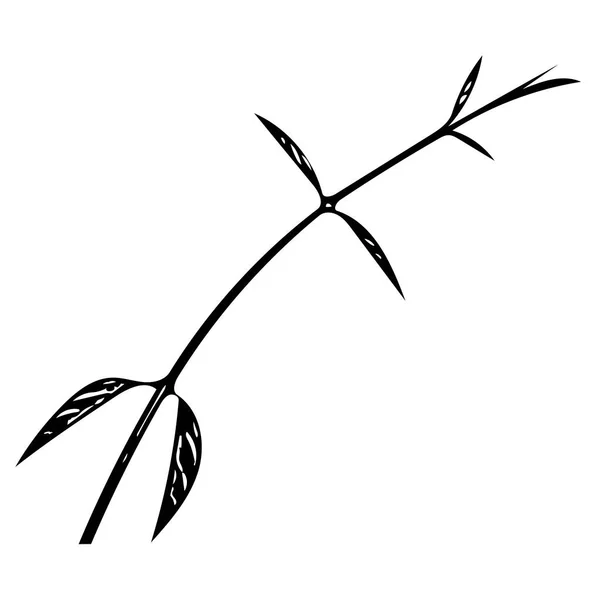Illustration Vectorielle Une Branche Noire Avec Des Feuilles Isolées Sur — Image vectorielle