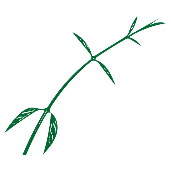Векторная Иллюстрация Зеленой Ветки Листьями Выделенными Белом Фоне — стоковый вектор