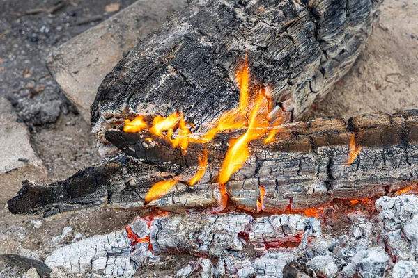 Los Troncos Gris Que Arden Para Hoguera Están Chimenea Bosque — Foto de Stock