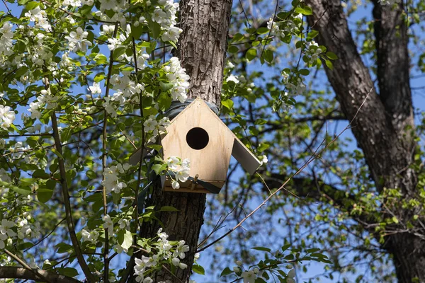 春になると公園内のリンゴの木には ベニヤ板の新しい黄色い鳥とリスの家がぶら下がっています — ストック写真