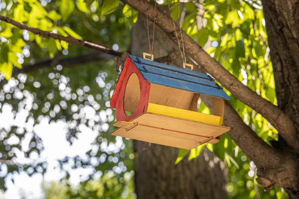 New Yellow Blue Red Bird Squirrel Feeder House Plywood Hanging — Zdjęcie stockowe