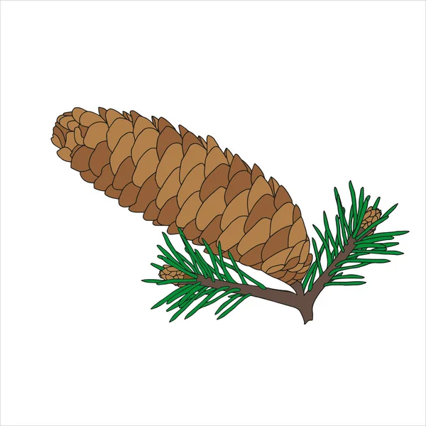 Outline Hand Drawing Vector Illustration Brown Cone Green Christmas Fir — Stok Vektör