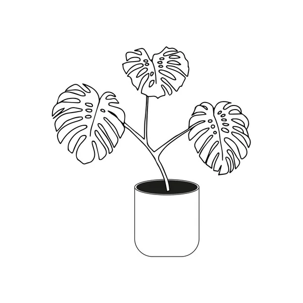 Illustration Three Monstera Leaves Pot Isolated White Background — Stockvektor