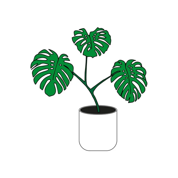 Illustration Three Green Monstera Leaves White Pot Isolated White Background — стоковый вектор