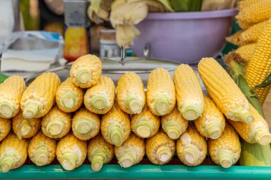 Yeşil tepside satılık güzel sarı mısır.