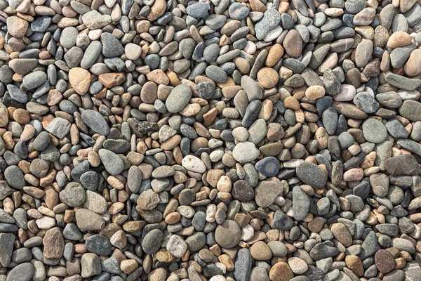 Eine Schöne Textur Aus Bunten Glatten Steinen Liegt Strand Meer — Stockfoto