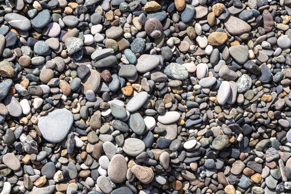 Eine Schöne Textur Aus Bunten Glatten Steinen Liegt Strand Meer — Stockfoto