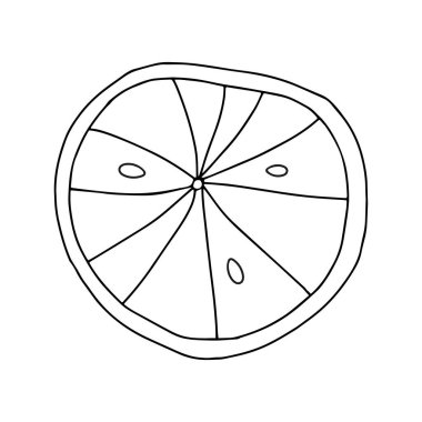 Beyaz arka planda izole edilmiş taze turuncu bir yuvarlak dilimin siyah çizgisi.