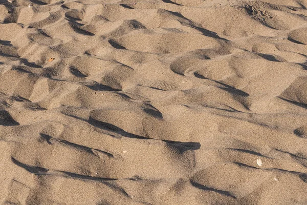 Una Hermosa Textura Horizontal Arena Amarilla Con Olas Conchas Está — Foto de Stock