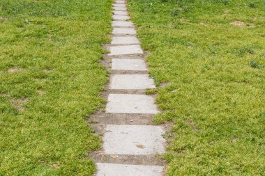 Kare beton levhalardan yeşil çimenlerin arasındaki gri yol yazın parktadır.
