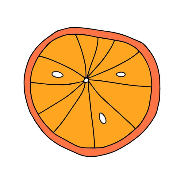 Contorno Vettoriale Illustrazione Colori Una Fetta Rotonda Arancio Fresco Isolato — Vettoriale Stock