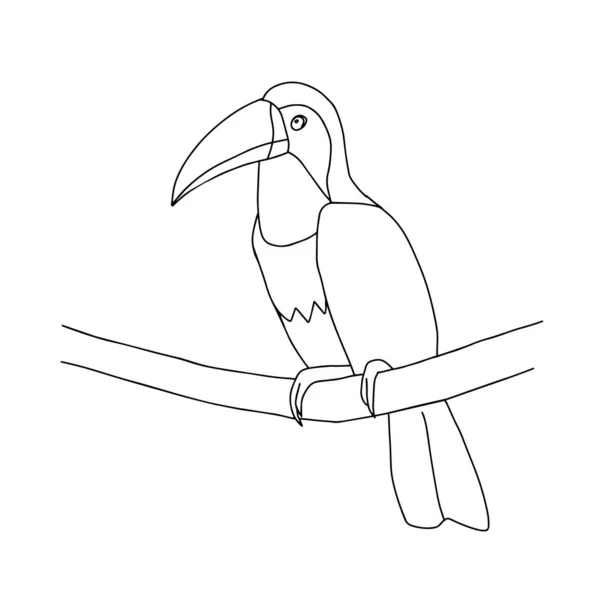 白色背景上的树枝上坐着一个手绘的黑色矢量图 上面画着一只毛毛虫鸟 — 图库矢量图片