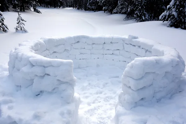 雪堡 — 图库照片