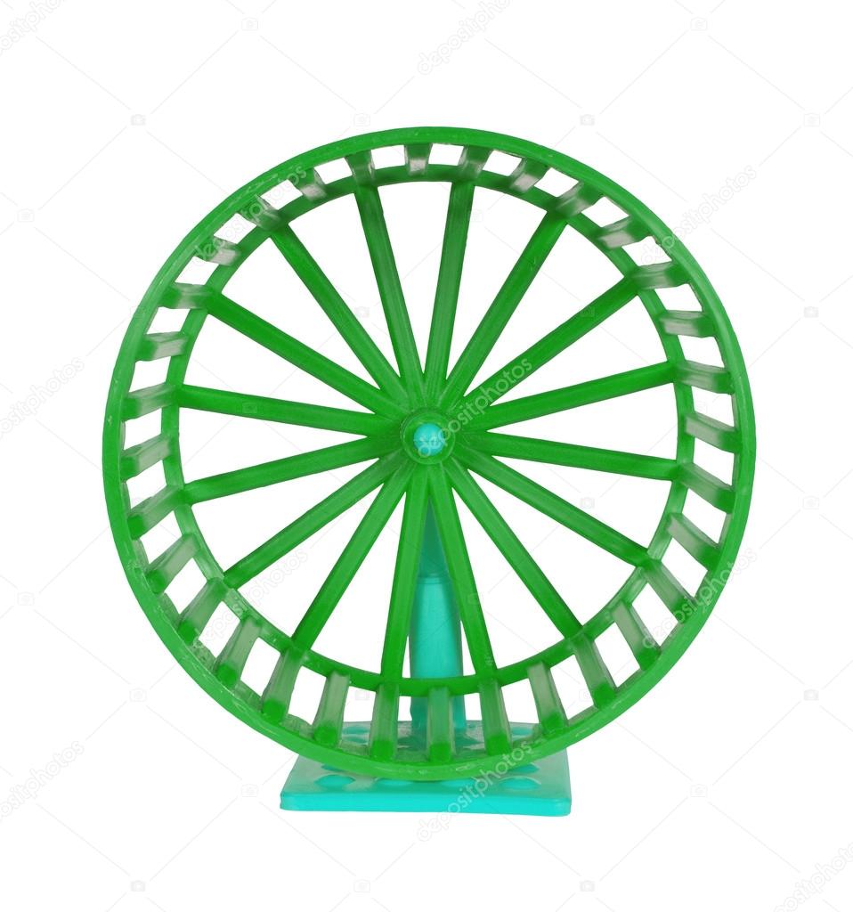 Wheel for rodents
