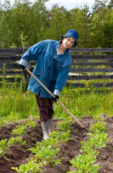 Mädchen spud Kartoffeln im Garten — Stockfoto