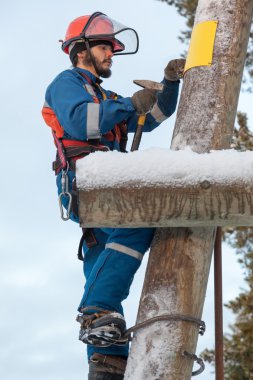 bir güç hattı kutup çalışma elektrikçi