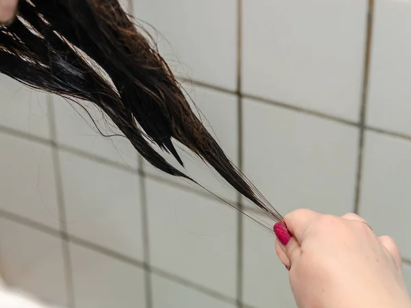 Vrouwelijke pijnlijke lange donkere haren op het hoofd, valt uit na een douche. Stockfoto