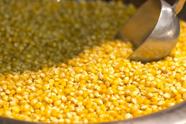 Maize at a market — Stock Photo, Image