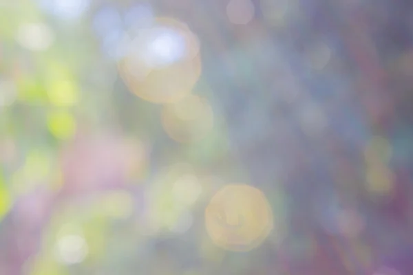 Cores de outono bokeh — Fotografia de Stock