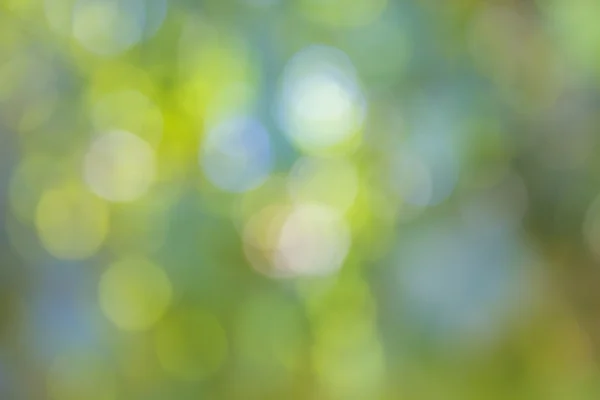 Naturaleza colores bokeh —  Fotos de Stock