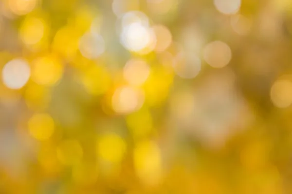 Autumn colors bokeh — Stock Photo, Image